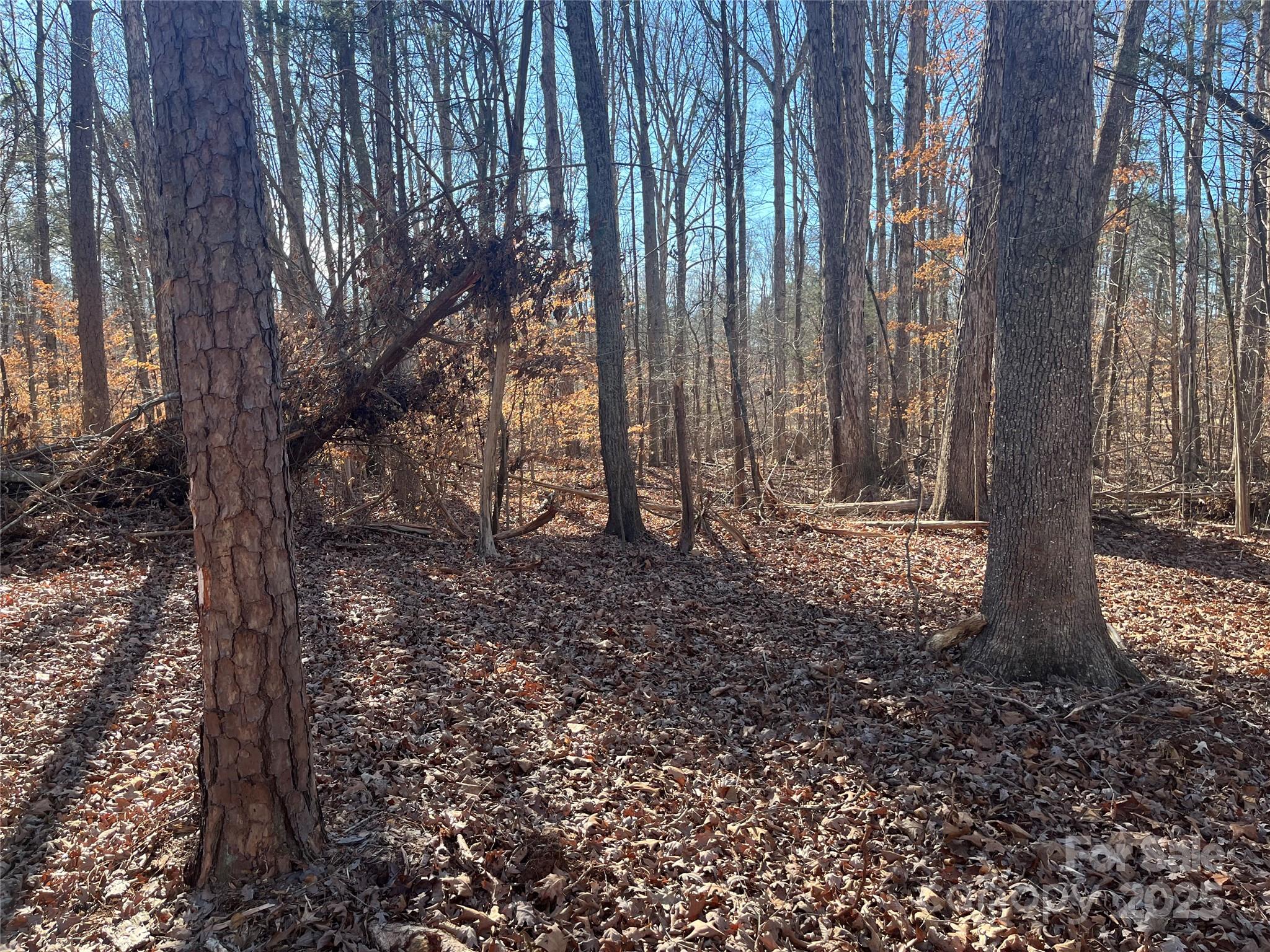 15.009-acres Archer Road Davidson, NC 28036 - Photo 12 of 14 a view of outdoor space with green space