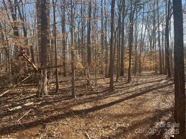 a view of a yard with plants and trees