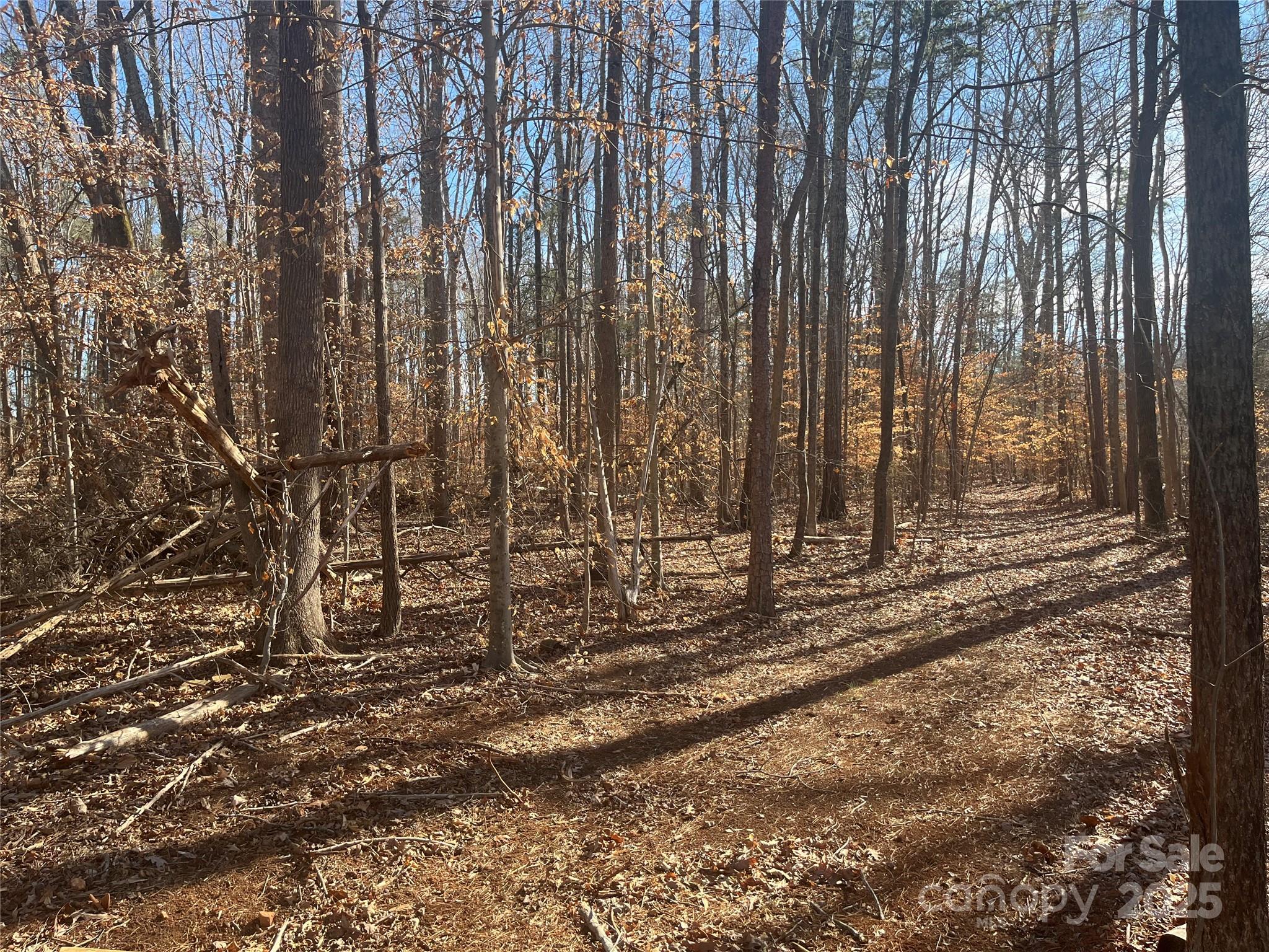 15.009-acres Archer Road Davidson, NC 28036 - Photo 7 of 14 a view of a door with trees in the background