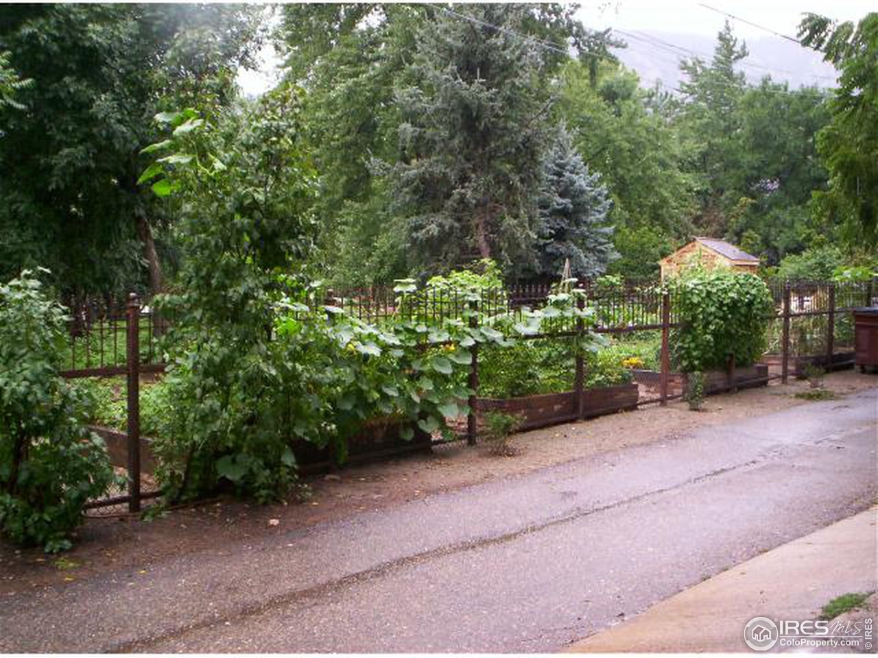 412 Pearl Street Boulder, CO 80302 - Photo 12 of 12 a view of a garden with plants
