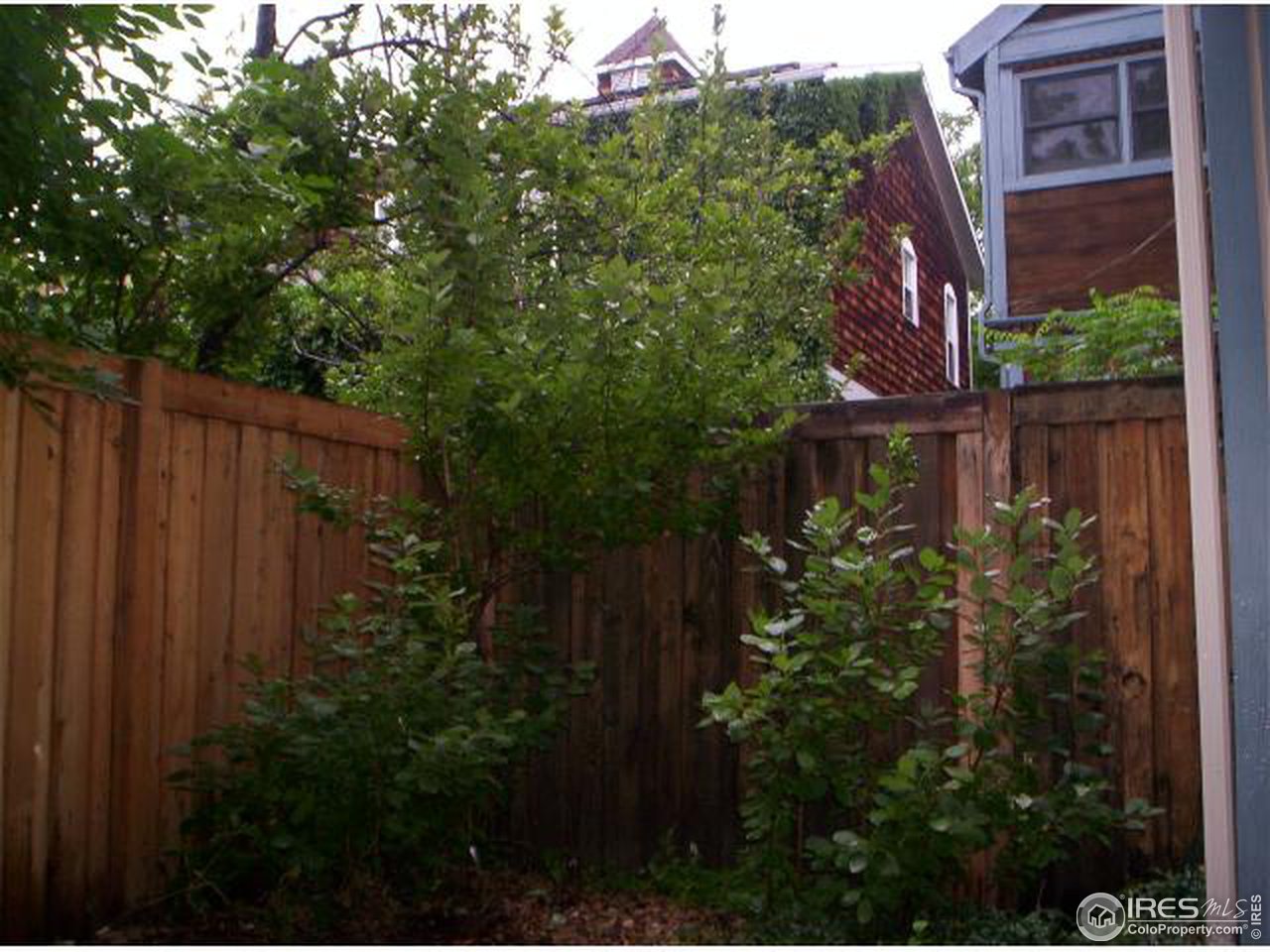412 Pearl Street Boulder, CO 80302 - Photo 7 of 12 a view of a house with a yard and plants