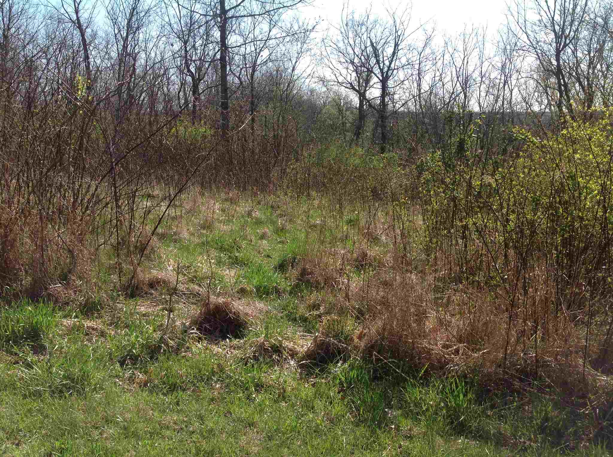 0 Johnsville-Foster Road Foster, KY 41043 - Photo 8 of 18 Gallery Image 8
