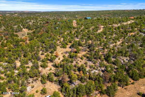 3654 Zane Grey Trail Overgaard, AZ 85933 - Photo 3 of 9 Photo 3