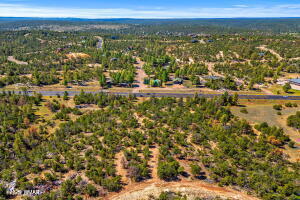 3654 Zane Grey Trail Overgaard, AZ 85933 - Photo 4 of 9 Photo 4