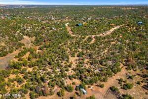 3654 Zane Grey Trail Overgaard, AZ 85933 - Photo 5 of 9 Photo 5