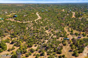 3654 Zane Grey Trail Overgaard, AZ 85933 - Photo 6 of 9 Photo 6