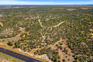 3654 Zane Grey Trail Overgaard, AZ 85933 - Photo 8 of 9 Photo 8