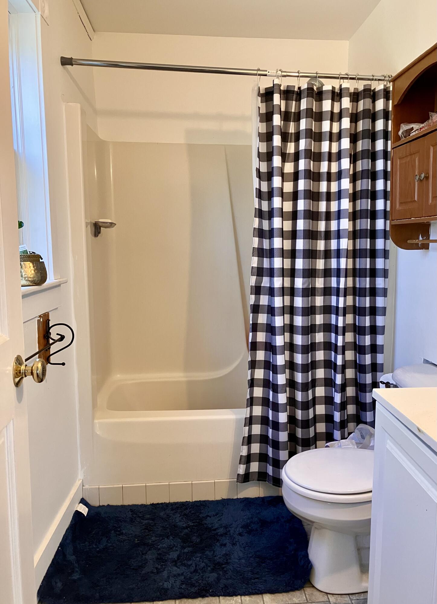 9 Meadow Brook Lane Surry, ME 04684 - Photo 11 of 16 IMG_3883