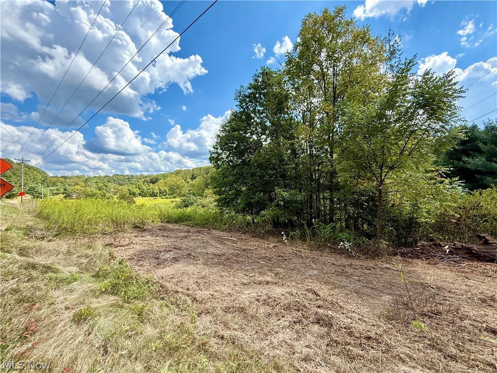 Aster Road Scio, OH 43988 - Photo 10 of 11