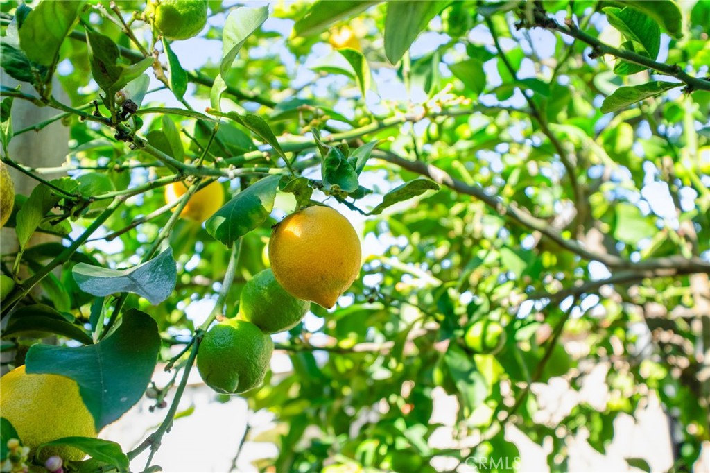 1550 Rimpau Avenue, Unit 52 Corona, CA 92881 - Photo 25 of 44