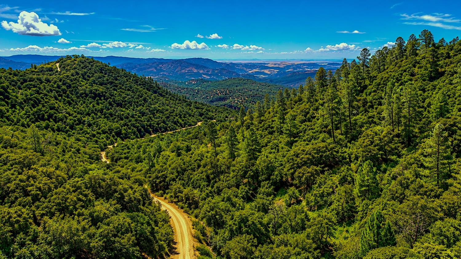 0 Cuneo Road Coulterville, CA 95311 - Photo 12 of 17