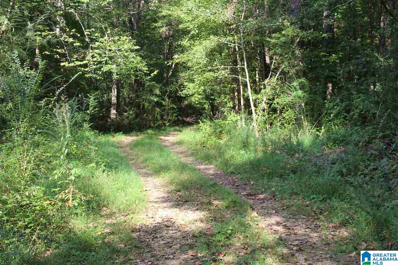 0 Hidden Valley Trail Oneonta, AL 35121 - Photo 5 of 5