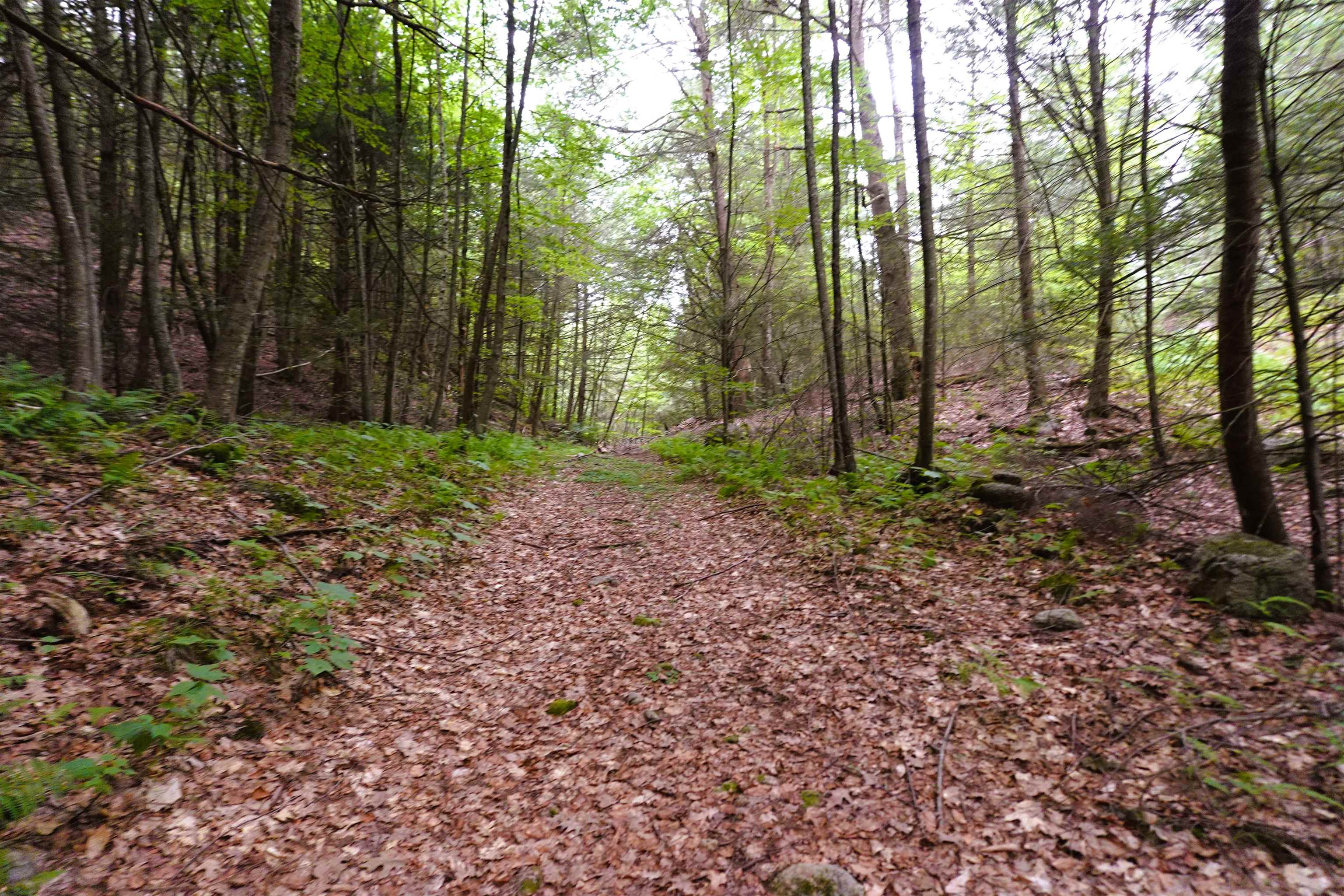 0 Burt Hill Road Winchester, NH 03470 - Photo 27 of 32