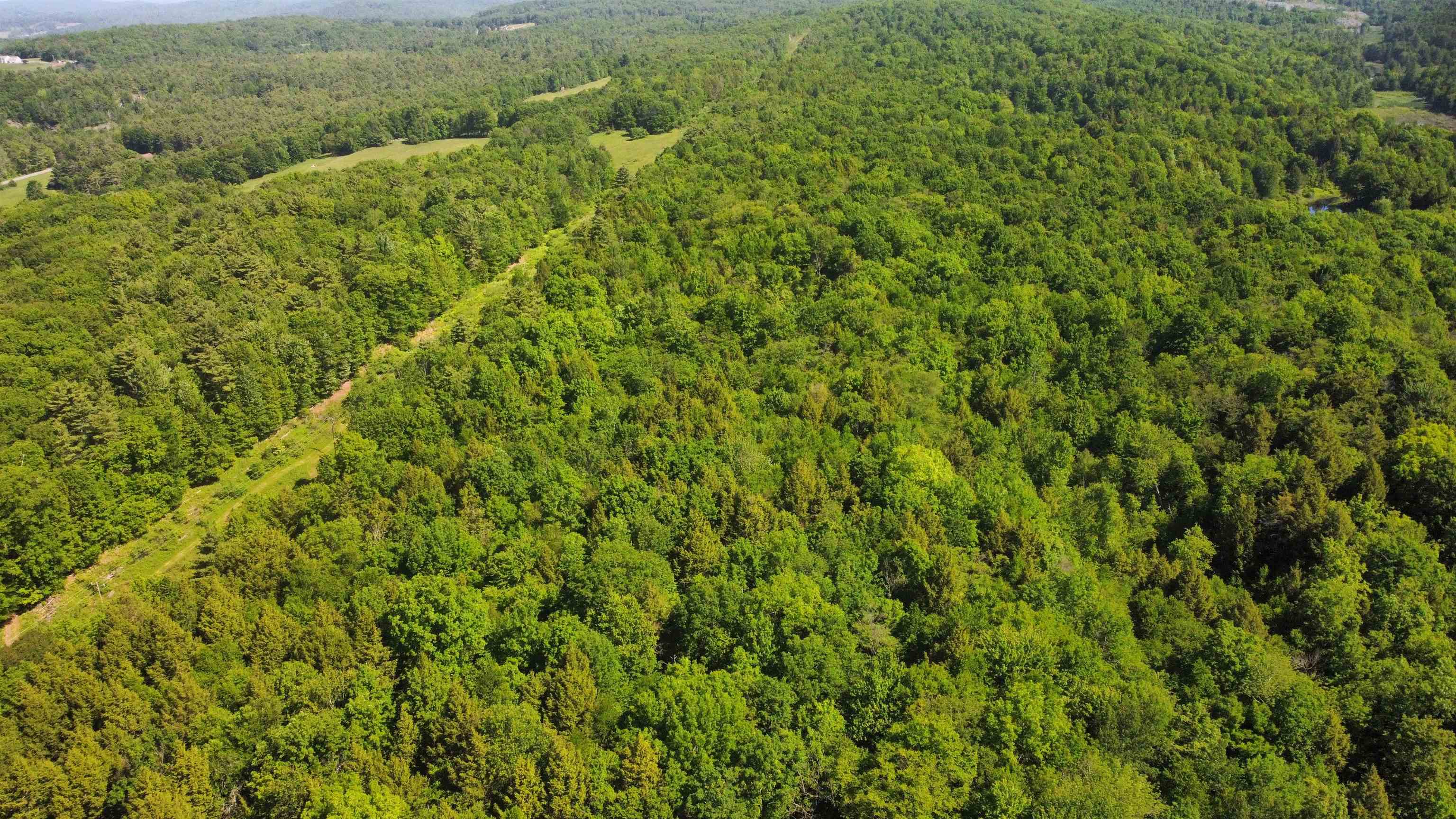 0 Bullfrog Hollow Road Wells, VT 05774 - Photo 24 of 26