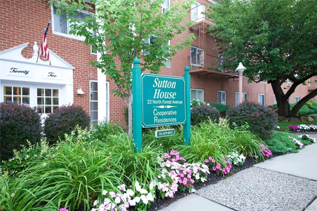 a view of a potted flower in front of a house
