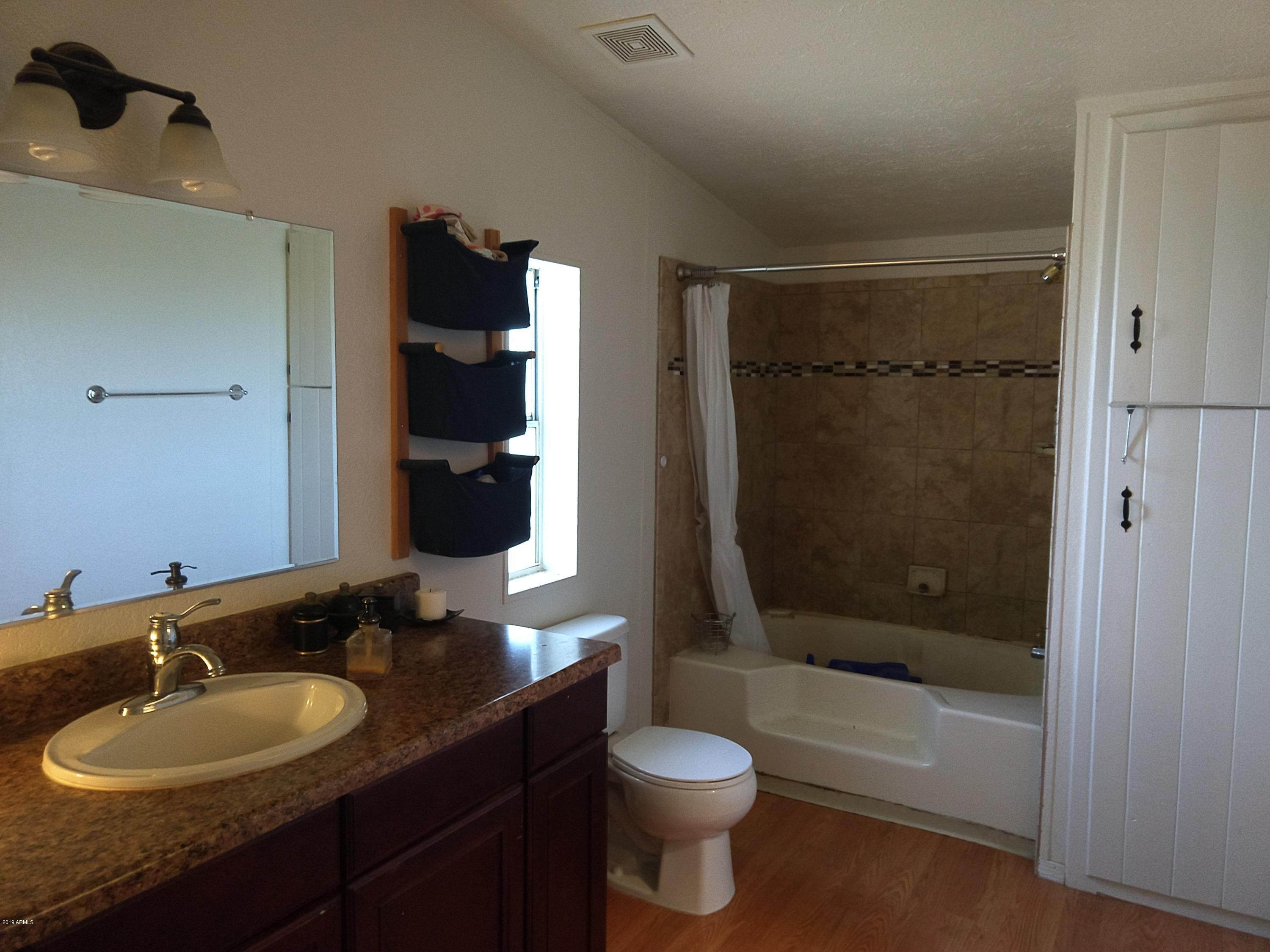 3291 North Ralston Road Maricopa, AZ 85139 - Photo 16 of 25 Master Bath