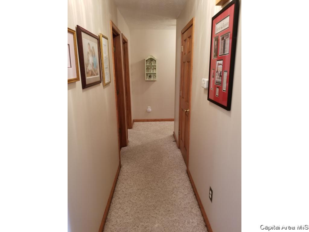 3909 Oakview Drive Springfield, IL 62712 - Photo 20 of 36 Gallery Image 20