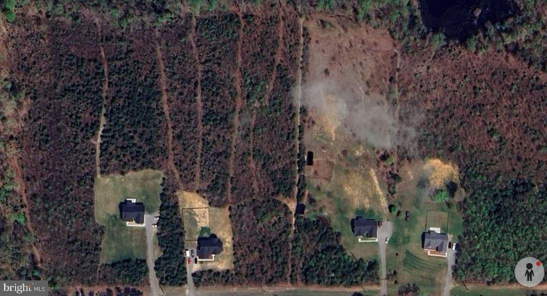 5175 Paynes Mill Road Bumpass, VA 23024 - Photo 55 of 55 a view of a house with a tree