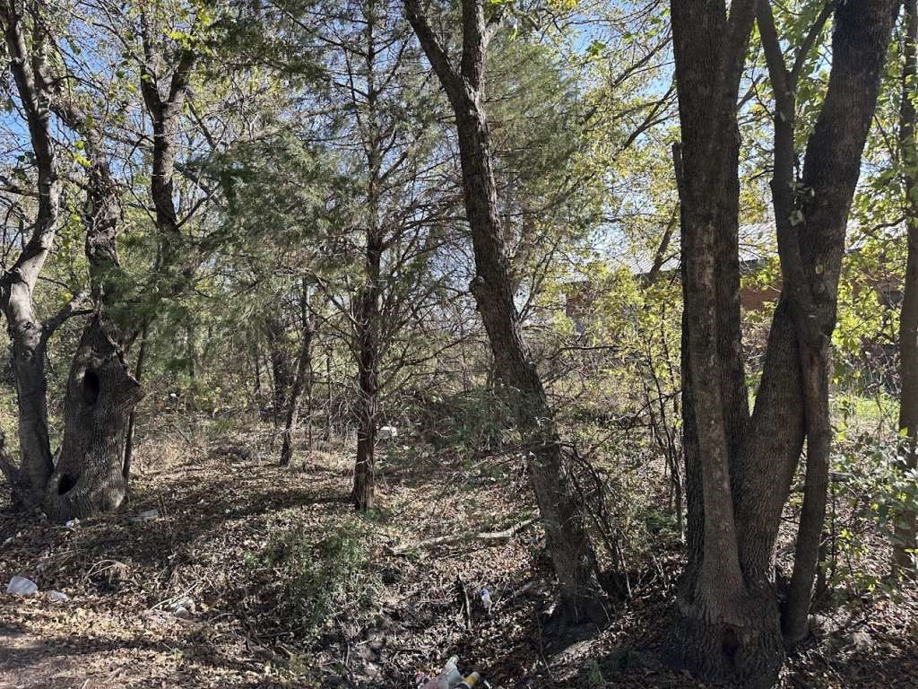 816 Pine Street Commerce, TX 75428 - Photo 3 of 3