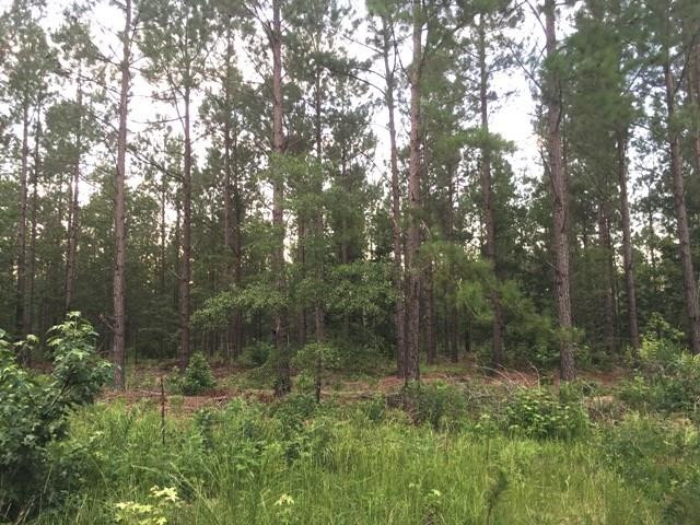 Lot 3 Skyland Farm Road Williston, SC 29853 - Photo 1 of 5 Gallery Image 1