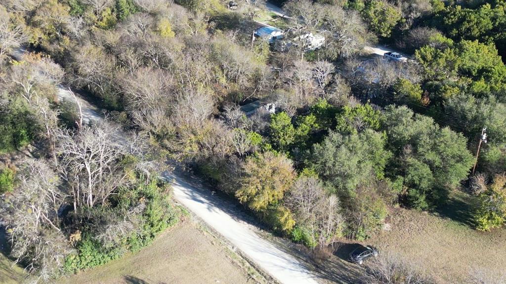 734-735 Cherry Road Whitney, TX 76692 - Photo 11 of 27 a view of a forest with a tree