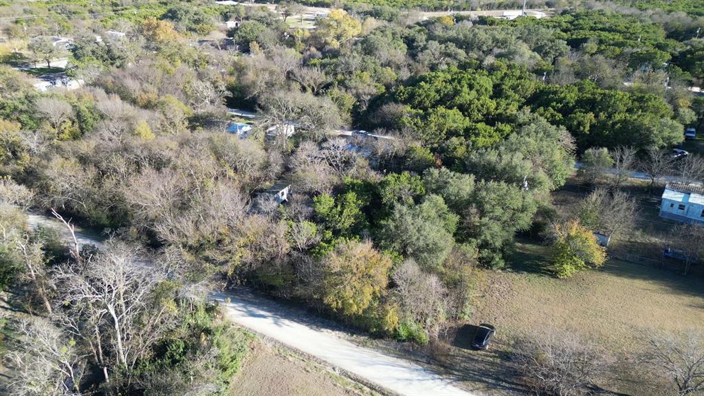 734-735 Cherry Road Whitney, TX 76692 - Photo 19 of 27 a view of a forest with a tree