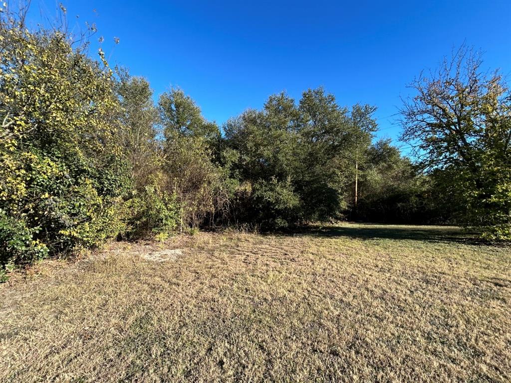 734-735 Cherry Road Whitney, TX 76692 - Photo 22 of 27 a view of a yard with wooden fence