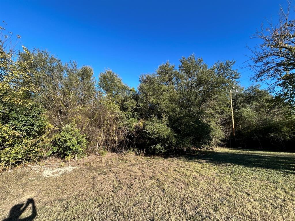 734-735 Cherry Road Whitney, TX 76692 - Photo 24 of 27 a view of a yard with trees in front of it