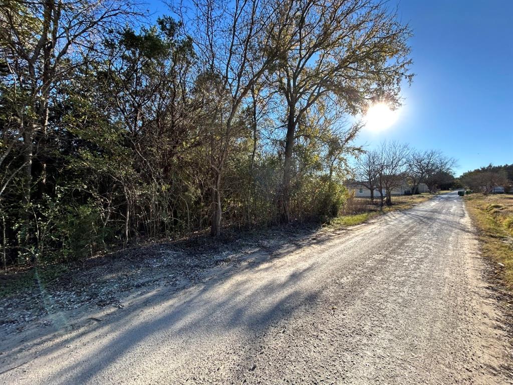734-735 Cherry Road Whitney, TX 76692 - Photo 26 of 27 a view of a yard with a tree