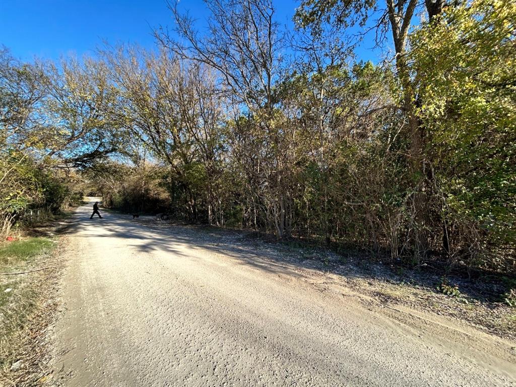 734-735 Cherry Road Whitney, TX 76692 - Photo 27 of 27 a view of a yard with a tree