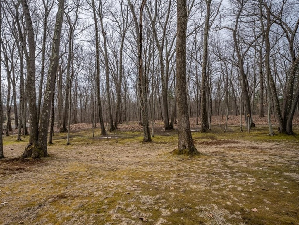 24 Oregon Road Ashland, MA 01721 - Photo 39 of 42 a fire pit with trees in the background
