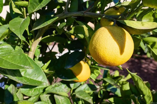a view of a swimming pool