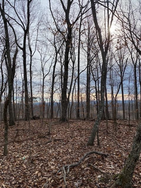 9 River Road Decatur, TN 37322 - Photo 4 of 9