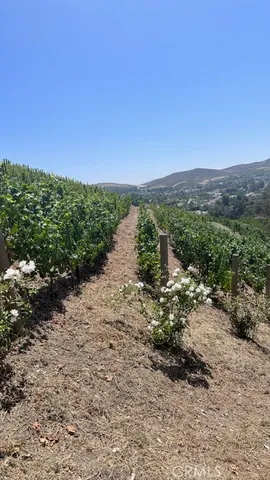 $7,900,000 | 3202 Portico Del Norte, San Clemente, CA 92673