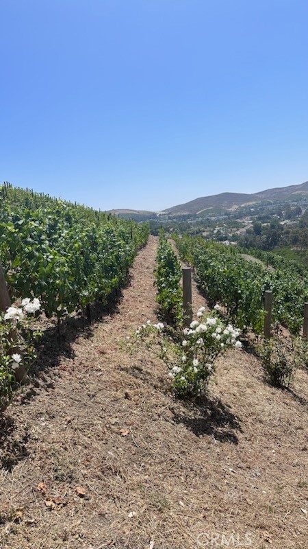 3202 Portico Del Norte San Clemente, CA 92673 - Photo 61 of 62 a view of a road with a mountain in the background