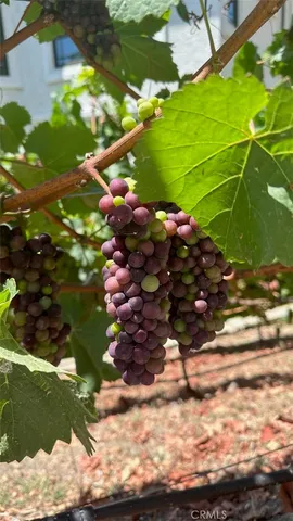 $7,900,000 | 3202 Portico Del Norte, San Clemente, CA 92673