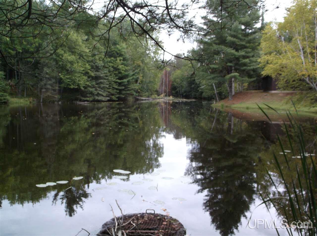 Tbd Off Camp 5 Road Crystal Falls, MI 49920 - Photo 16 of 31 Gallery Image 16