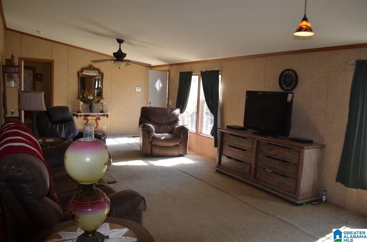 799 Pleasant Hills Road Odenville, AL 35120 - Photo 3 of 49