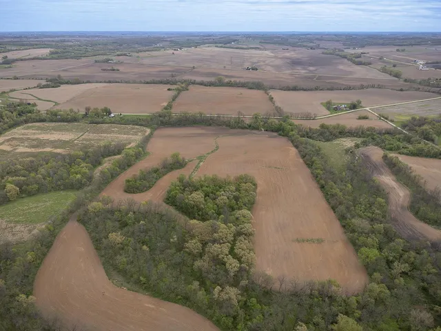 a view of a field with an ocean