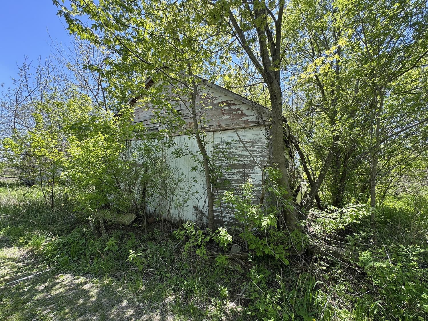 5574 Big Cut Road Mount Carroll, IL 61053 - Photo 11 of 19 a view of a forest
