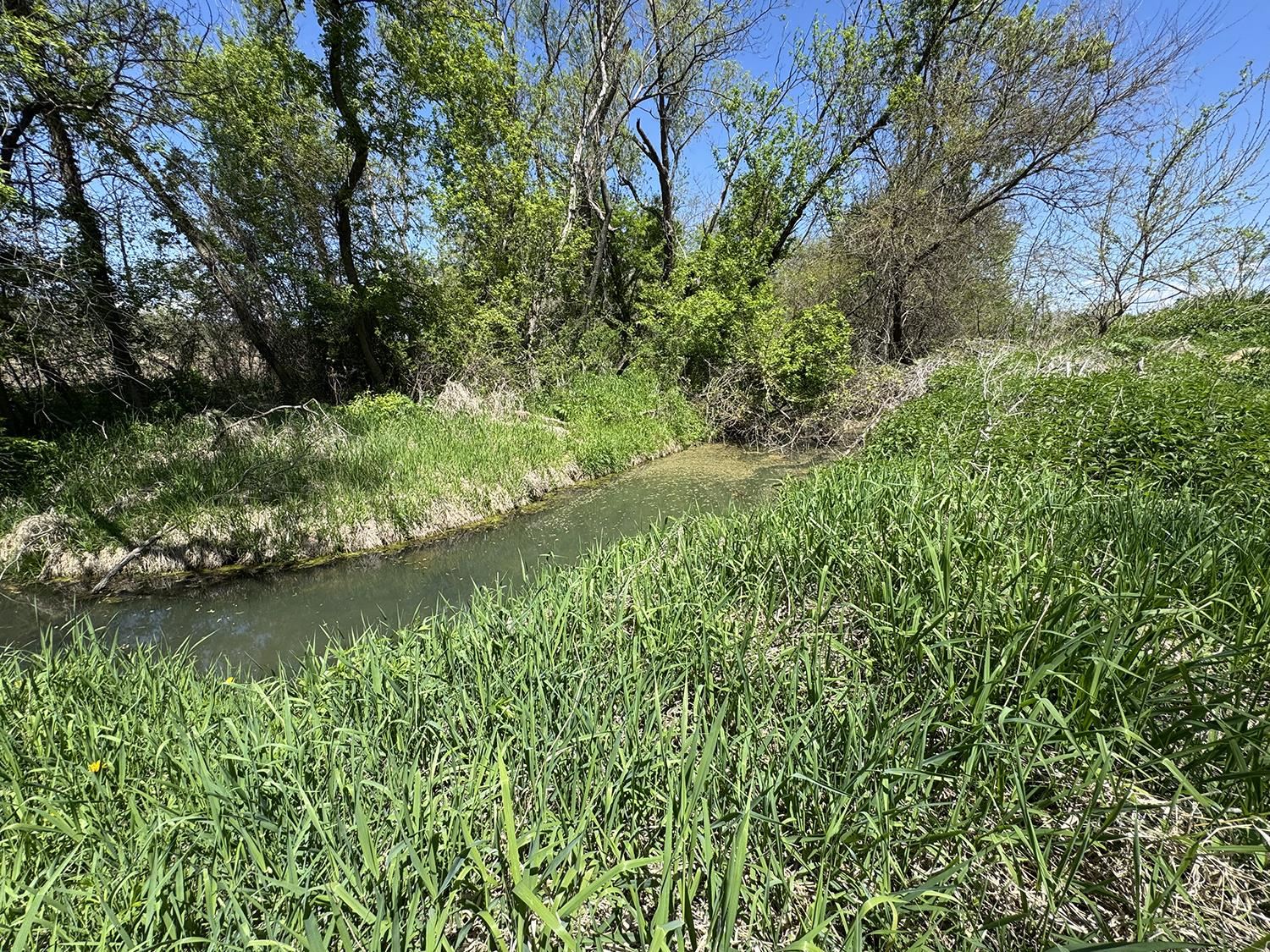 5574 Big Cut Road Mount Carroll, IL 61053 - Photo 14 of 19 a view of a garden with a lake