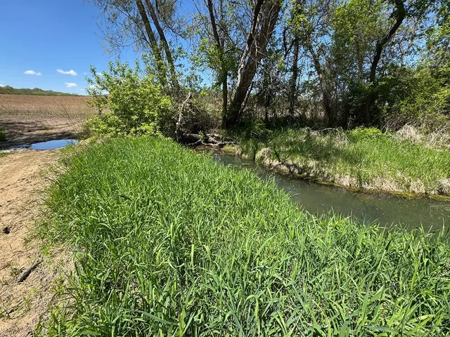 a view of a lake with a yard