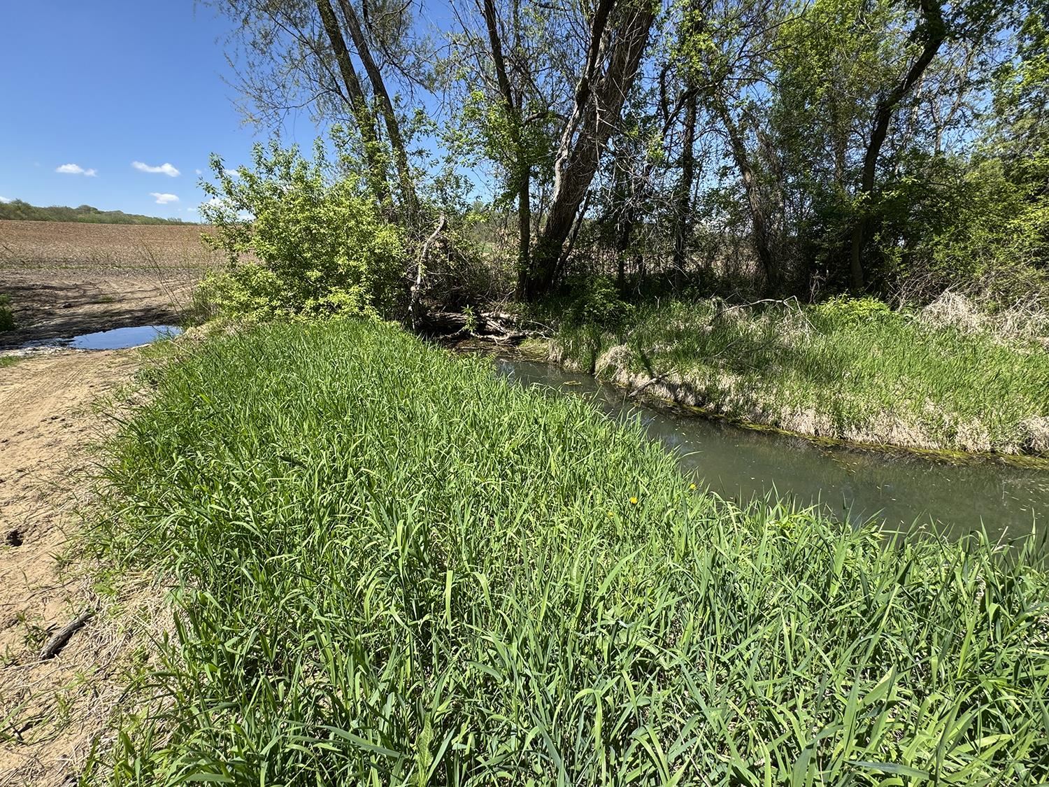 5574 Big Cut Road Mount Carroll, IL 61053 - Photo 15 of 19 a view of a lake with a yard