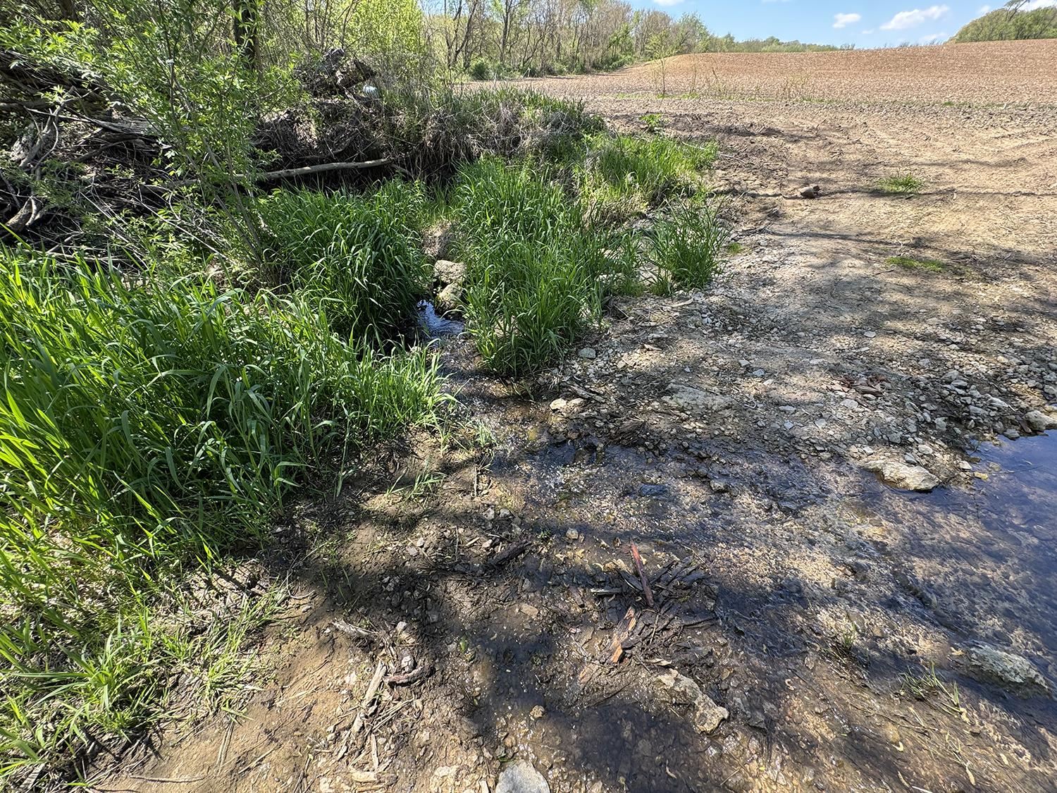 5574 Big Cut Road Mount Carroll, IL 61053 - Photo 16 of 19 a view of a lush green forest with lots of trees