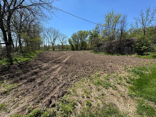 a view of a yard with plants and trees
