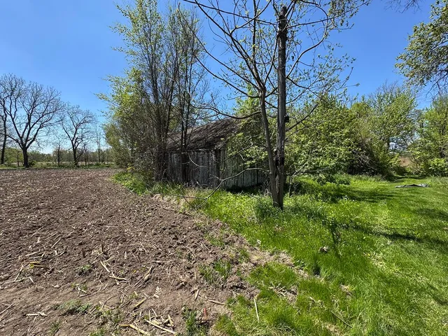 a view of a yard with plants and trees