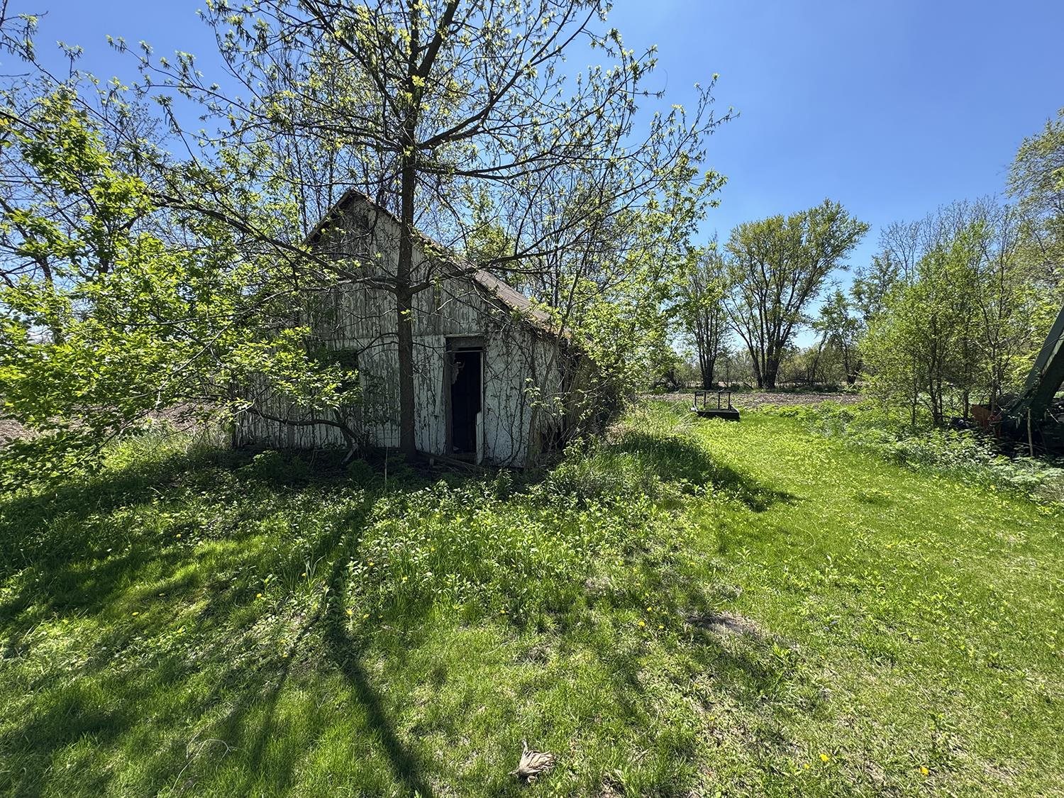 5574 Big Cut Road Mount Carroll, IL 61053 - Photo 10 of 19 a backyard of a house with lots of green space