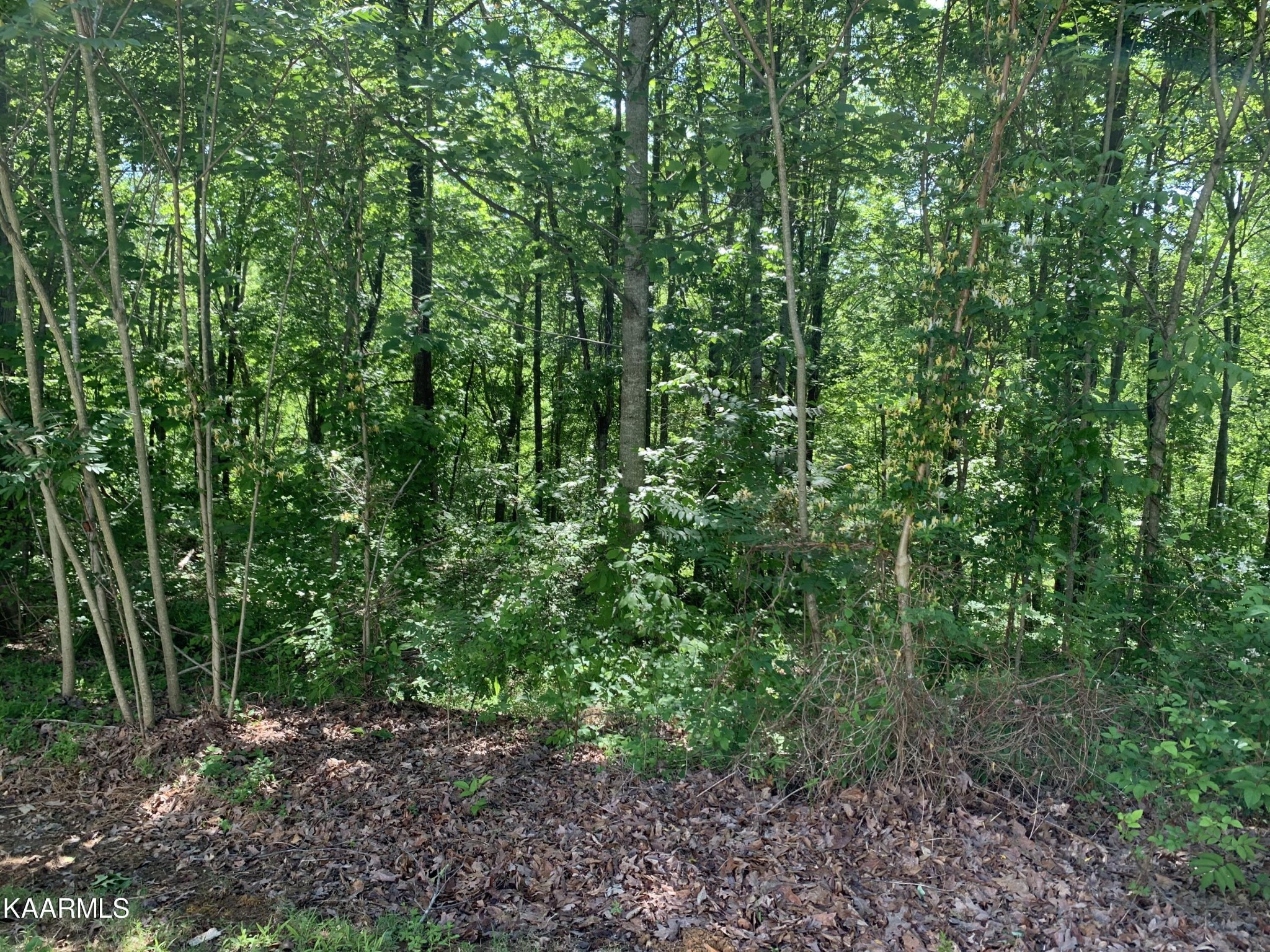 6340 Baptist Ridge Road Hilham, TN 38568 - Photo 6 of 9 Gallery Image 6