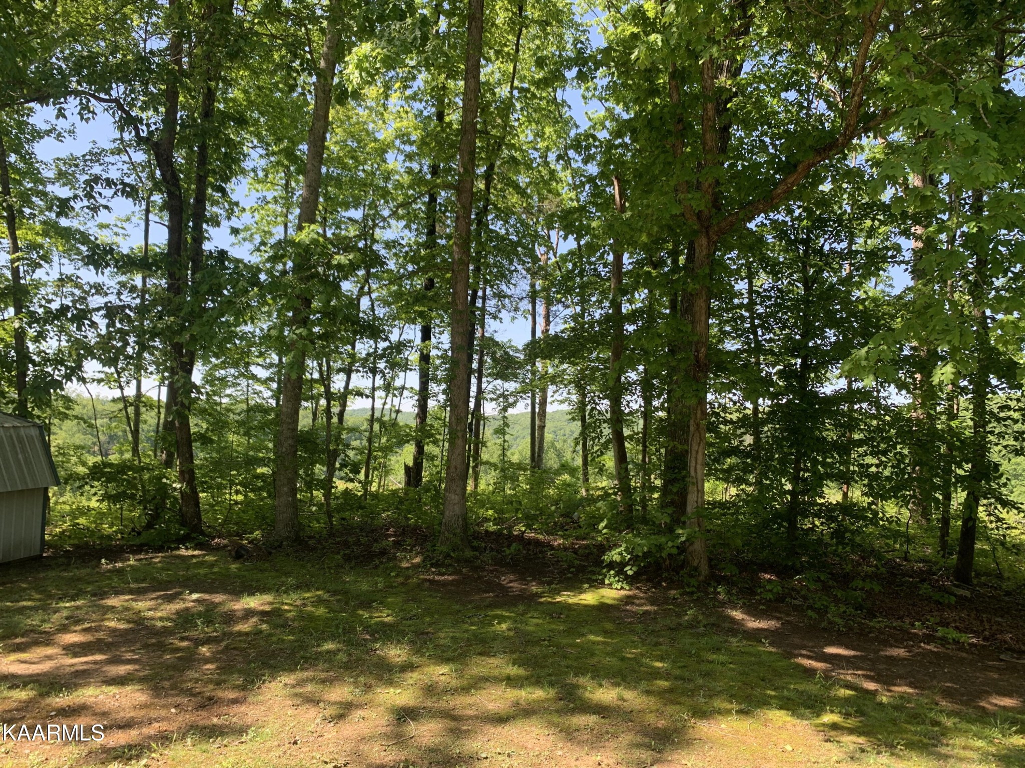 6340 Baptist Ridge Road Hilham, TN 38568 - Photo 8 of 9 Gallery Image 8