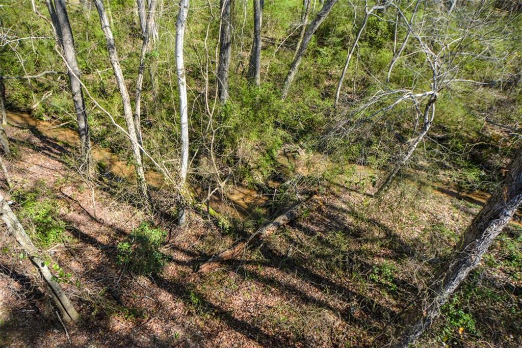 1816 Jessica Way Winder, GA 30680 - Photo 15 of 69